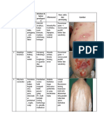 SL Kulit PDF