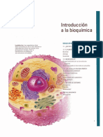 Introducción a la Bioquimica.pdf