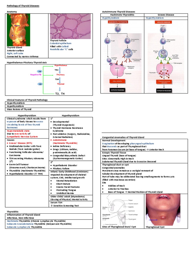 Pathology of Thyroid Diseases | PDF | Thyroid | Thyroid Disease