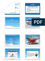 Seguridad y Salud en El Trabajo - Versión 4 Diapositivas Por Página