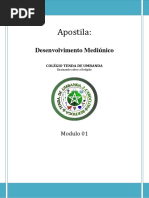 modulo 01