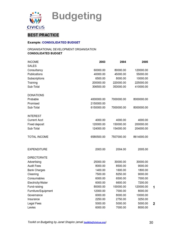 Consolidated Budget Template Example | PDF