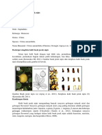 Download kulit jeruk nipis by Khaenda S SN382346713 doc pdf