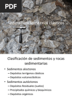 Sedimentos terrigenos Ambientes sedimentarios