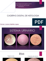 Caderno Digital Histologia