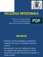 Ocluziile Intestinale