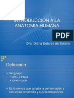 Anatomia