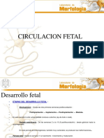 circulacion fetal.ppt