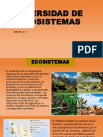 Diversidad de Ecosistemas 6.2