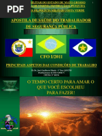 54968987 Cfo Apmcv Apostila de Sst Cfo i a Principais Aspectos Das Condicoes de Trabalho