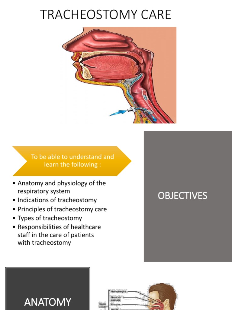 Tracheostomy Care | PDF | Clinical Medicine | Respiratory System