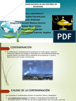 Contaminacion Ambiental