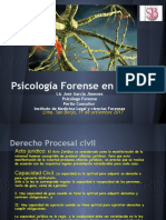 Ps Forense en Lo Civil