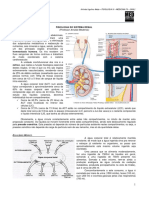 Fisiologia Renal - MED RESUMO.pdf