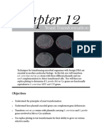 12 Yeast Transformation 2013 1