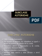 Subclase Asteridae