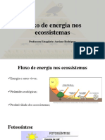 Fluxo de Energia Nos Ecossistemas (Aula 06.06.18)