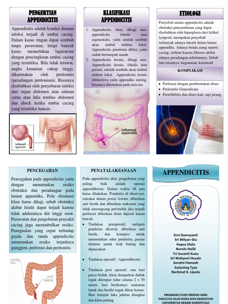 Leaflet Appendisitis | PDF