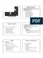 11_salmonella.pdf