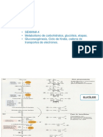 Clase 3 de Bioquimica (1).pptx