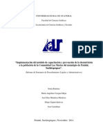 Informe Final Proyecto Seminario