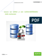 Vulnerabilidades BBDD WP Acens PDF