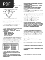 8 Ano Teste Circulatório