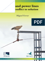 Birds and Power Lines, From Conflict To Solution