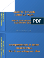 definicioncompetenciasbasicas-1216768675850614-9