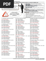 Estudo Dirigido - Termos Essenciais Da Oração - Sujeito