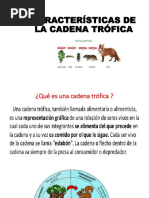 Cadena Trofica Tomás