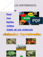 106850072-Animales-Vertebrados.ppt