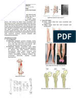 Musculoskeletal Deformity