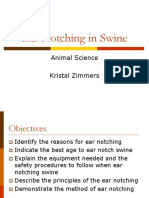 Pig Ear Notching System 2012