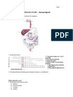 Anatomiedigestie