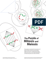 The Puzzle of Mitosis and Meiosis