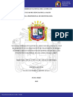 Aquino Apaza Luz Marina PDF