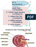  Glomerulonefritis