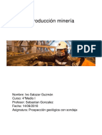 Introduccion Minería