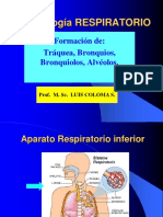 1b. Embr. Sist.respiratorioInf.2018