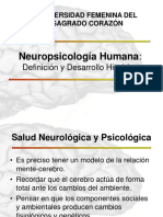 Clase 1 - Introduccion a La Neuropsicologia
