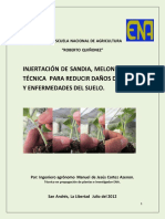 INJERTOS-DE-SANDÍA.pdf