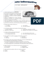 Texto Informativo / Antónimos