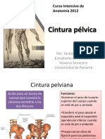 Cintura-pélvica.pdf