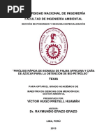 BIOPETROLEO Tesis