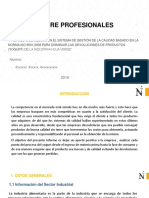 Modelo Informe PPP.pdf