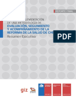 resumenejecutivo.pdf