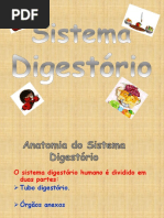 Sistema Digestorio