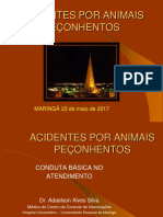 Acidentes Por Peçonhentos-2015