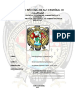 caso-chimbote-final (1).docx